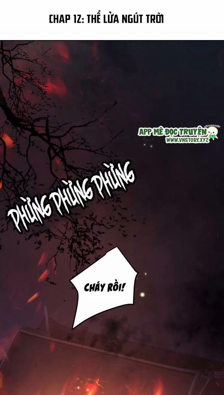 Phượng Hoàng Vu Phi 12 trang 1