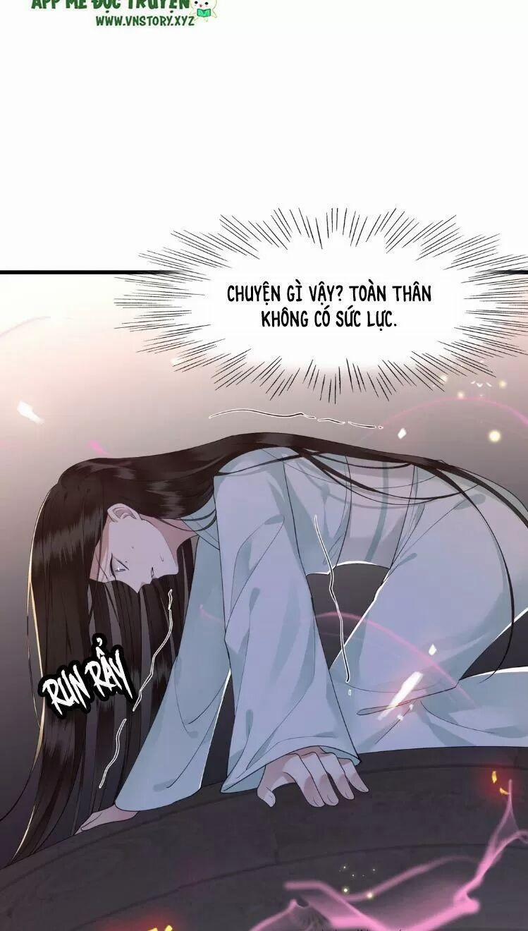 Phượng Hoàng Vu Phi 12 trang 5