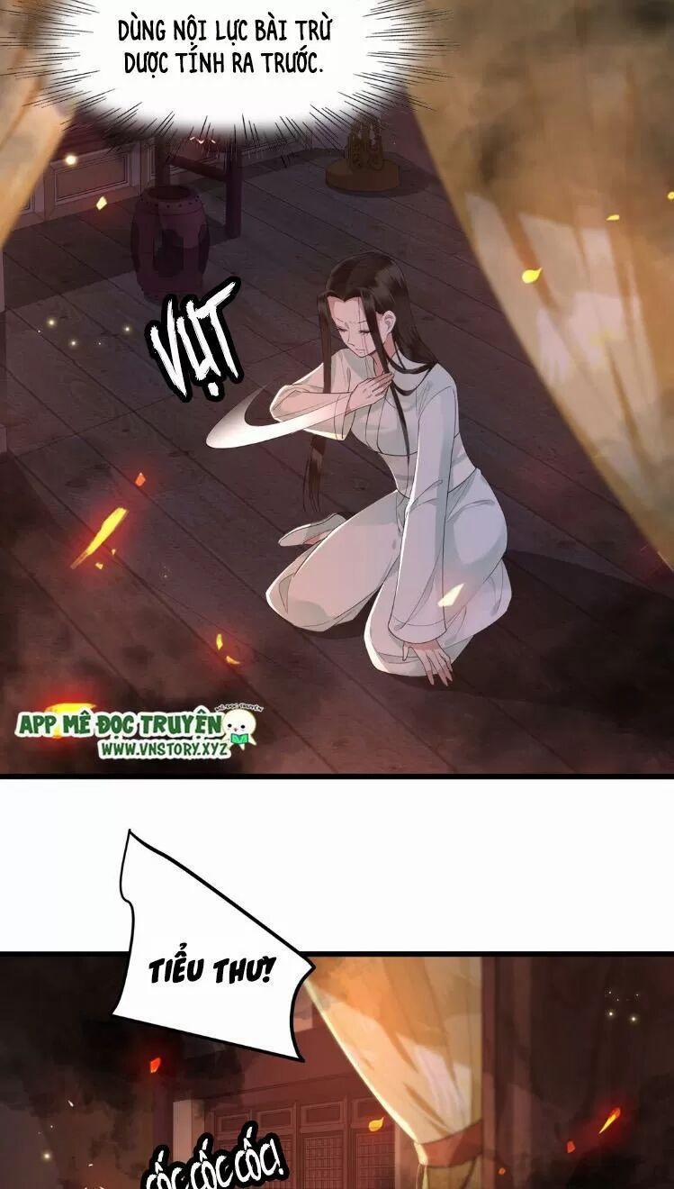 Phượng Hoàng Vu Phi 12 trang 7