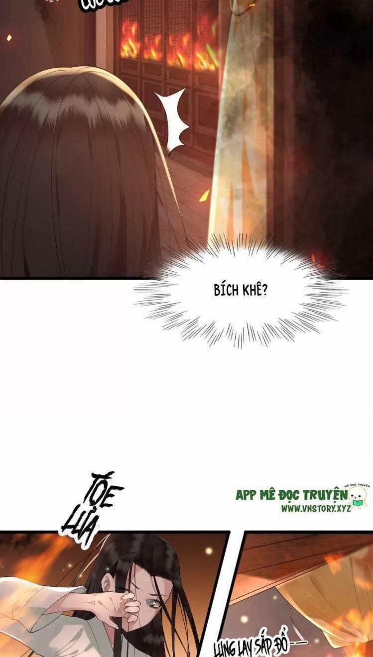 Phượng Hoàng Vu Phi 12 trang 8