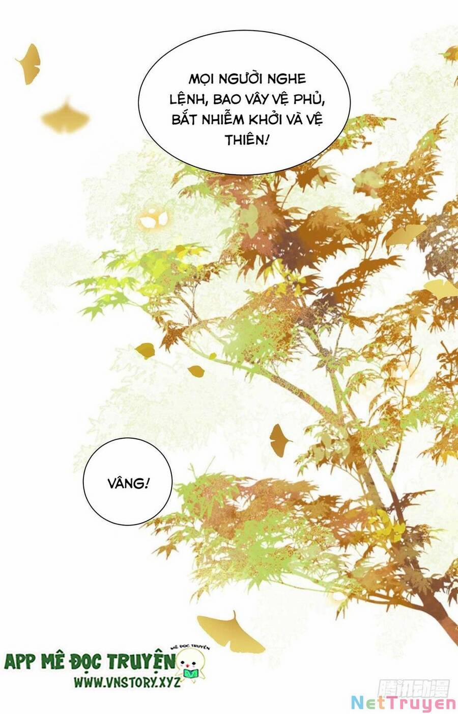 Phượng Hoàng Vu Phi 124 trang 11