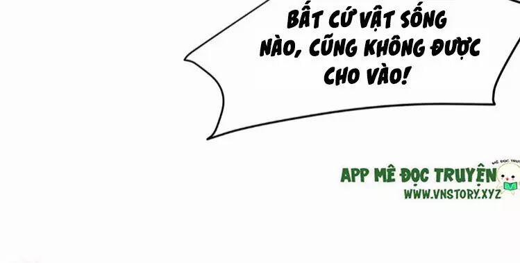 Phượng Hoàng Vu Phi 4 trang 51