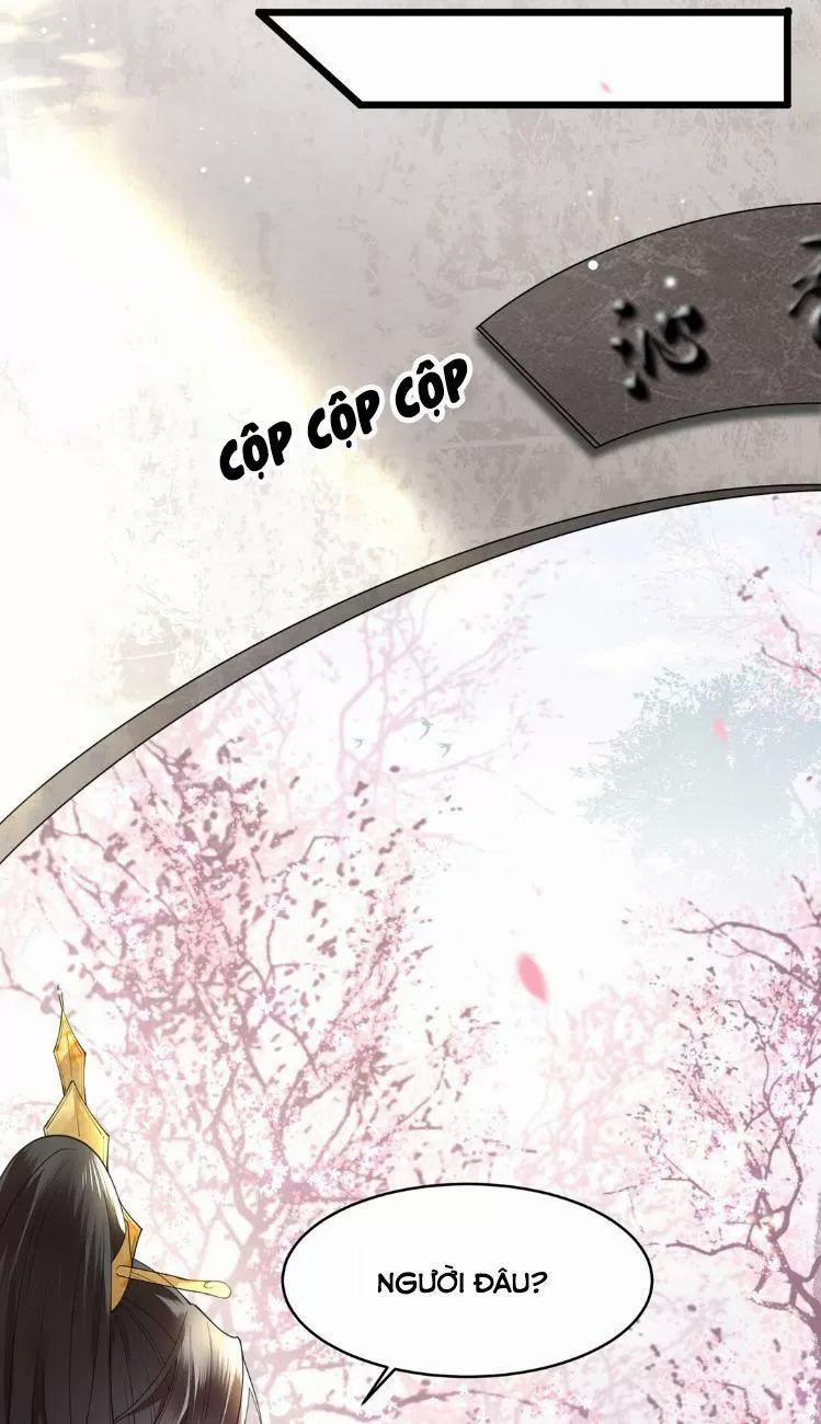 Phượng Hoàng Vu Phi 7 trang 4