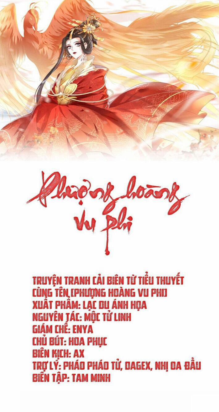 Phượng Hoàng Vu Phi 8 trang 0