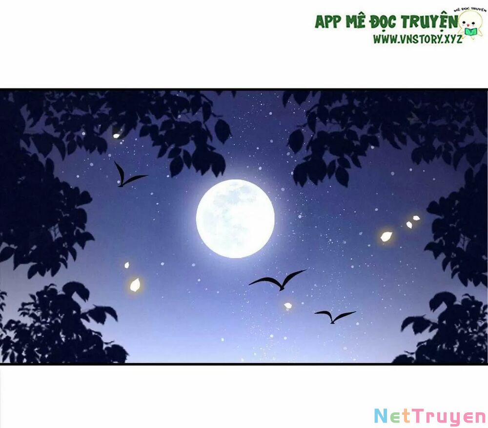 Phượng Hoàng Vu Phi 93 trang 21