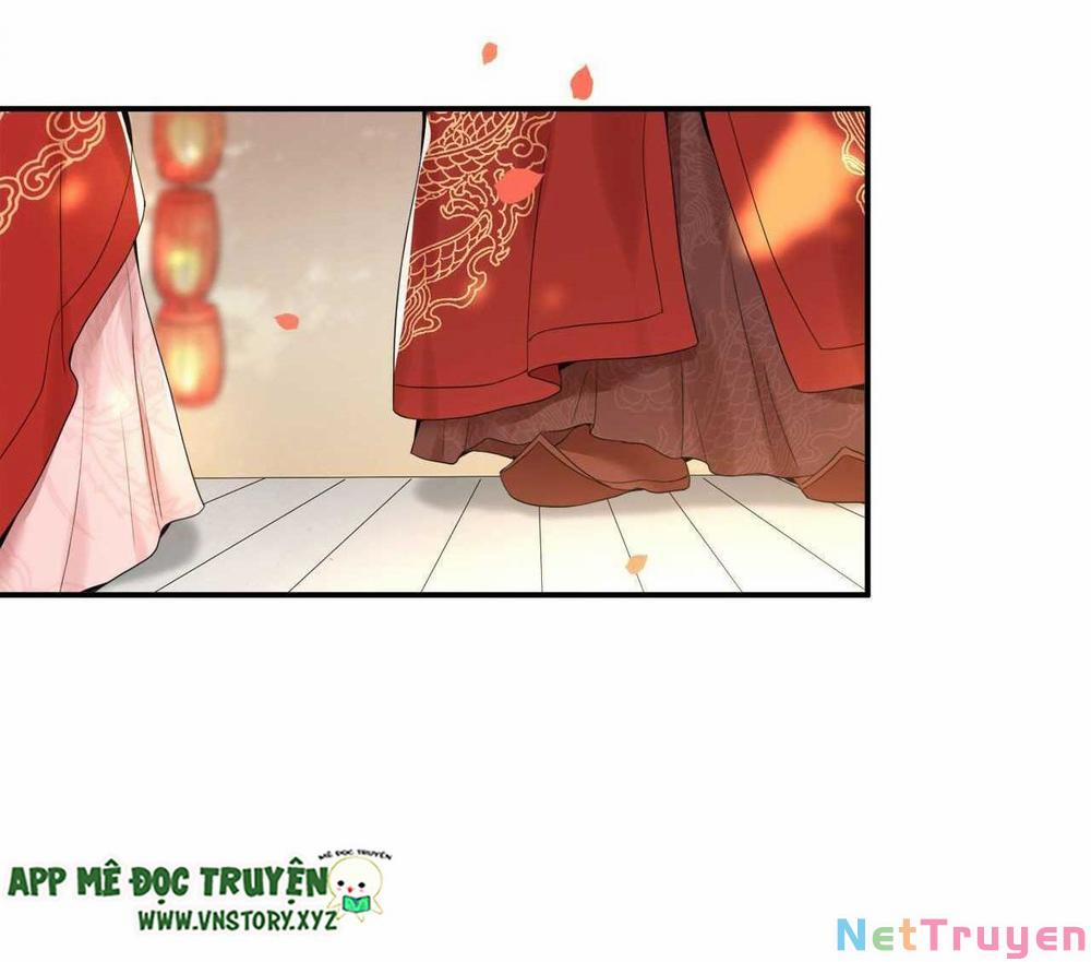 Phượng Hoàng Vu Phi 95 trang 24