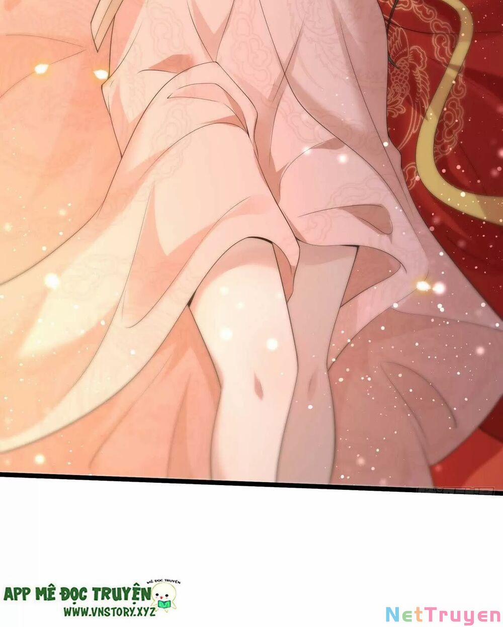 Phượng Hoàng Vu Phi 96 trang 14