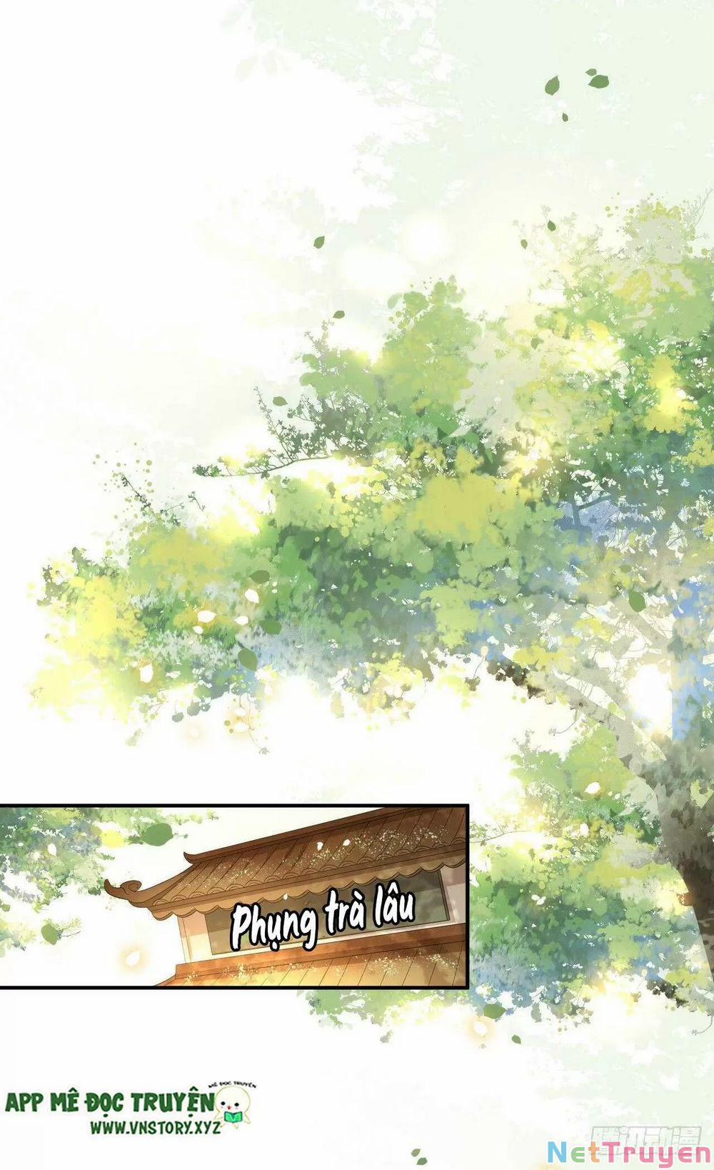 Phượng Hoàng Vu Phi 99 trang 5