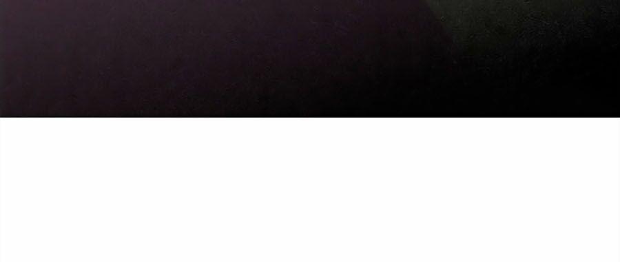 Phượng Ngự Tà Vương 4 trang 15