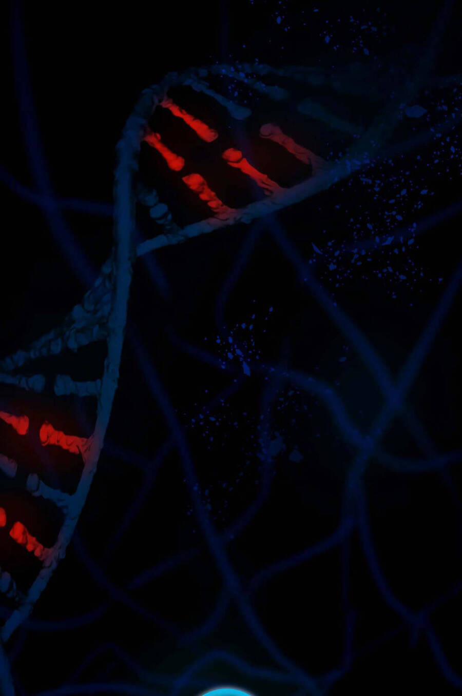 Phương Pháp Sinh Tồn Của Rồng Sắp Ngủm 1 trang 29