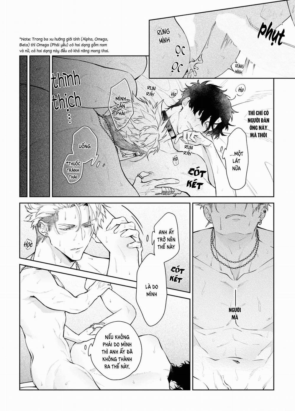 Phương Thuốc Tình Yêu 4 trang 13