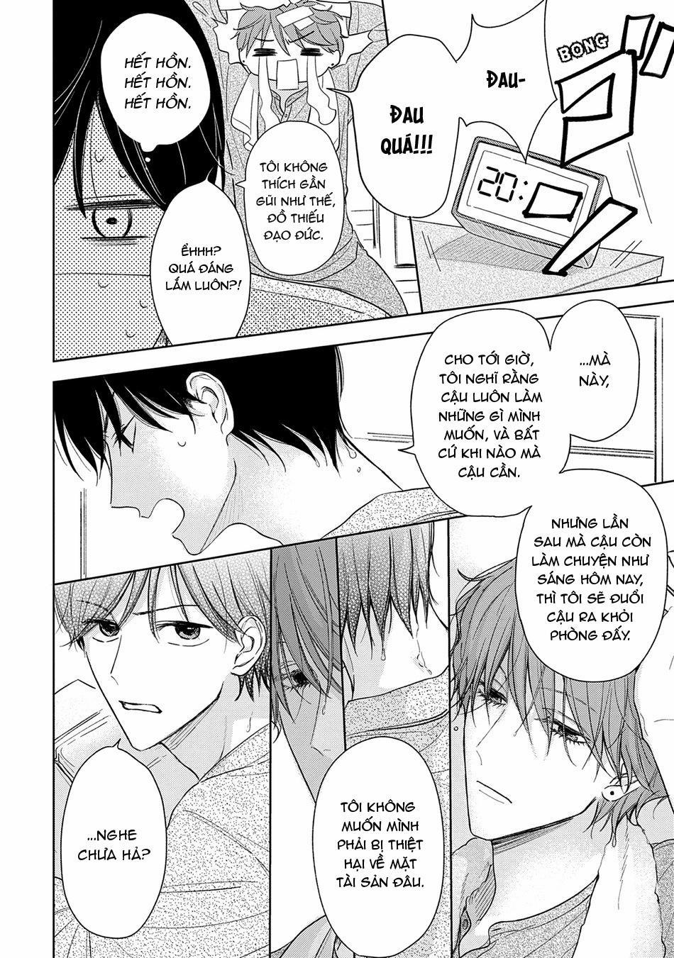 Pittosporum 1 trang 16