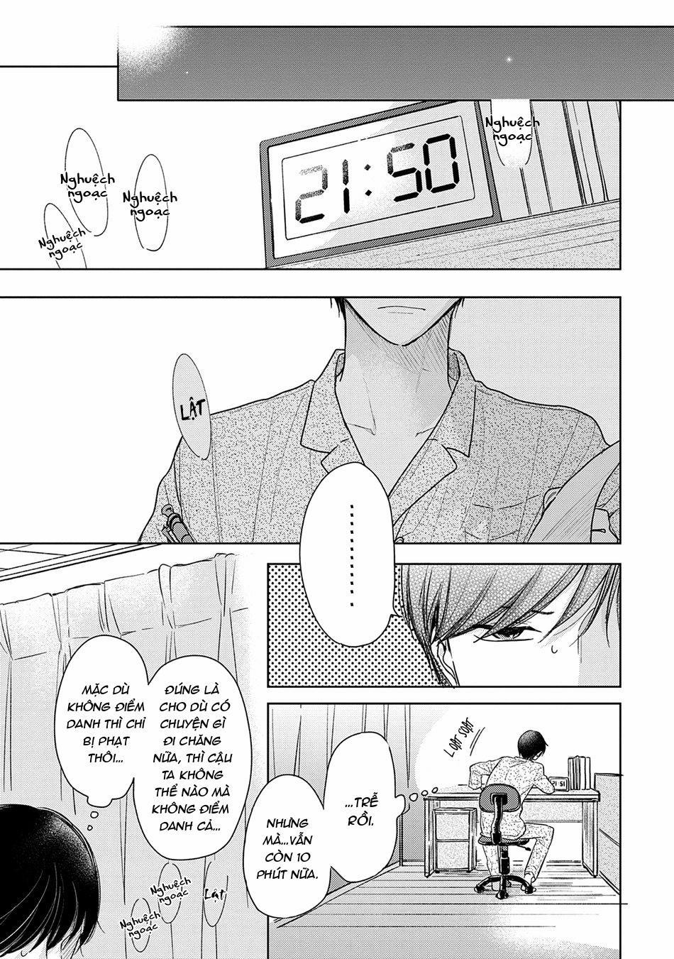 Pittosporum 1 trang 19