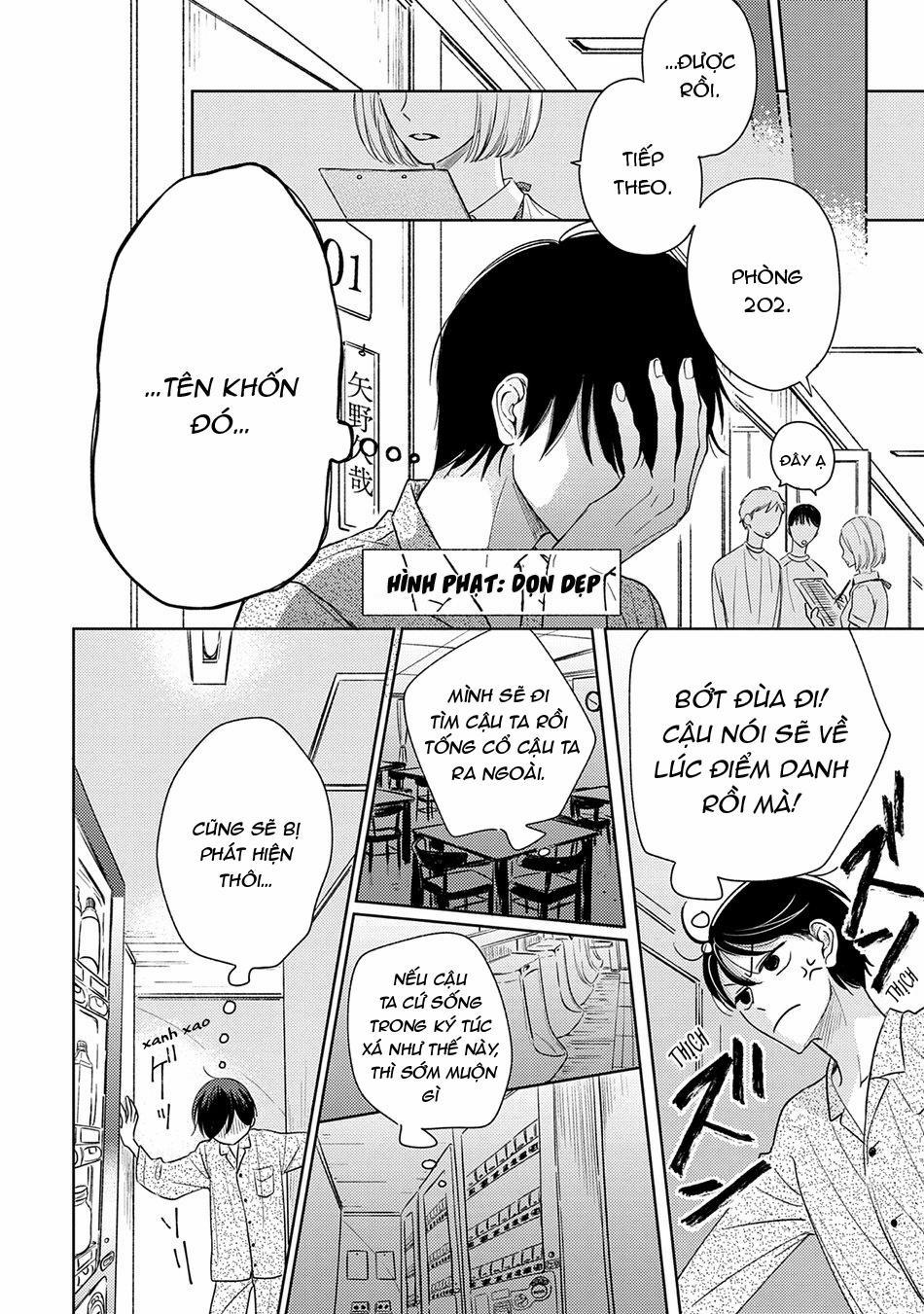 Pittosporum 1 trang 20