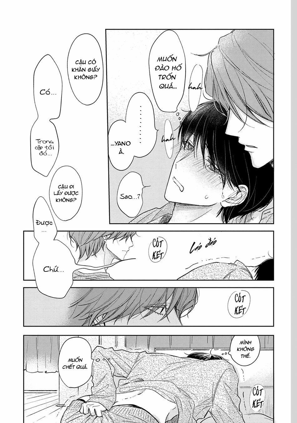 Pittosporum 1 trang 34