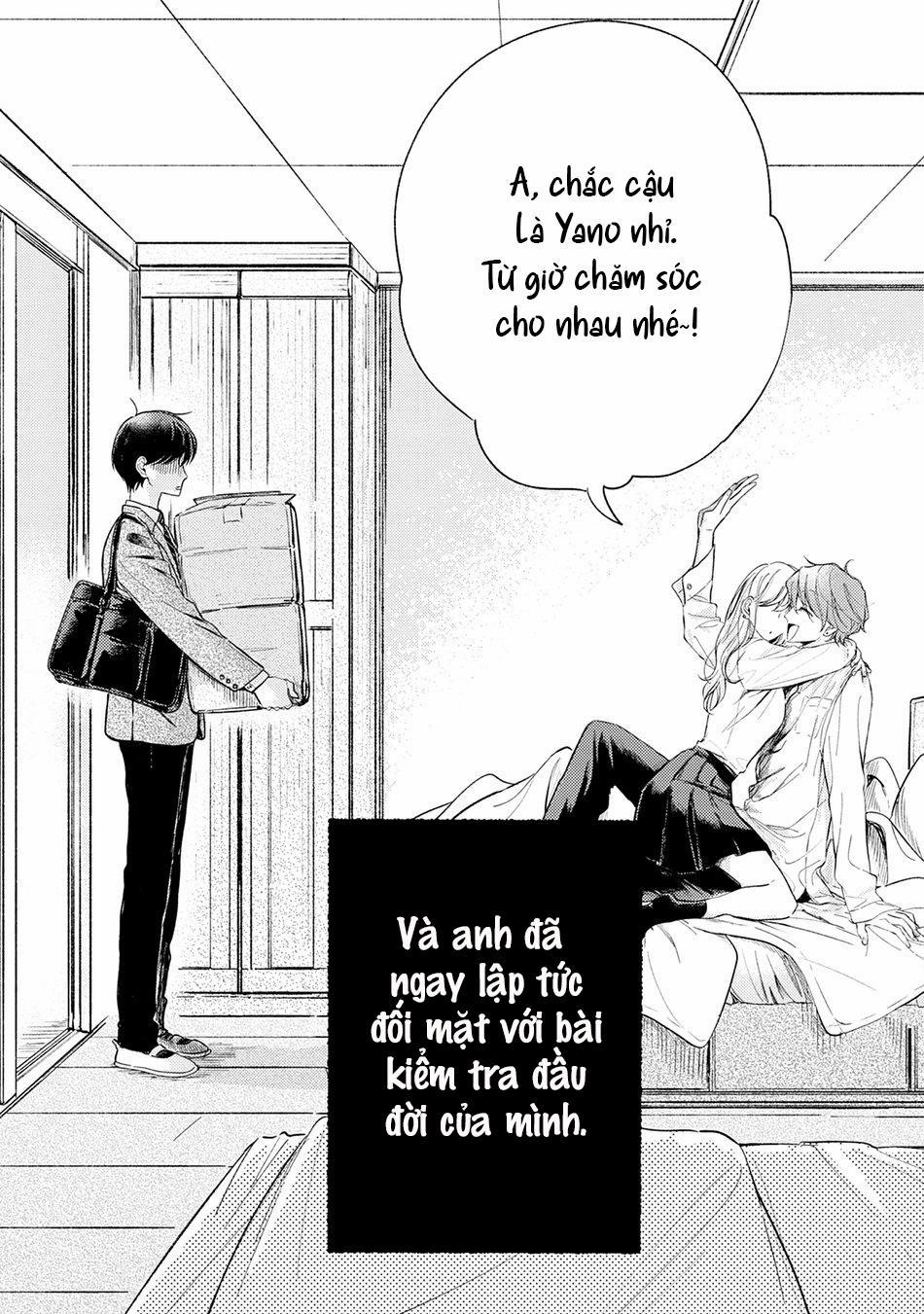 Pittosporum 1 trang 4