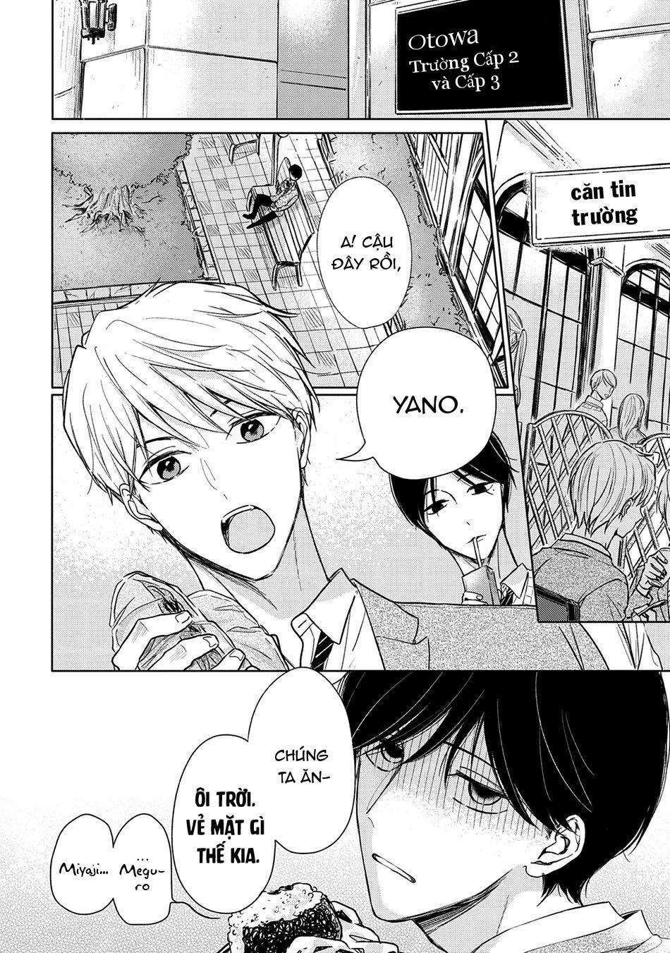 Pittosporum 1 trang 6