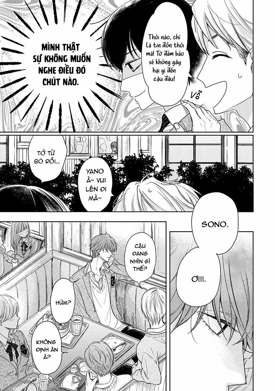 Pittosporum 1 trang 9