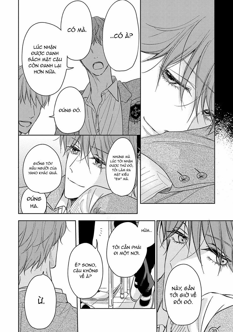 Pittosporum 2 trang 13