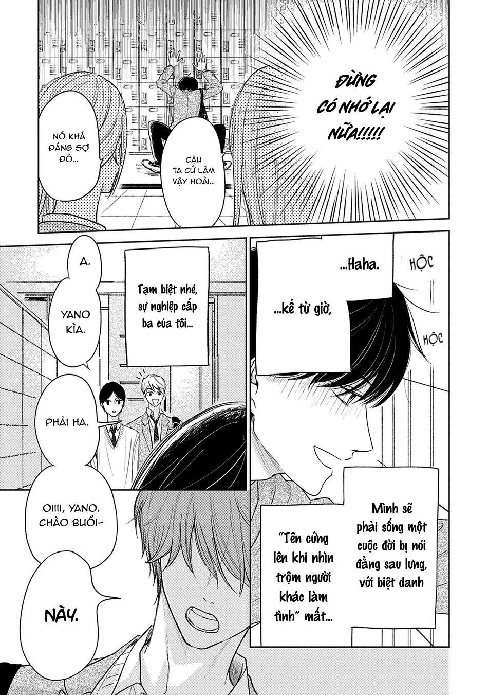 Pittosporum 2 trang 2