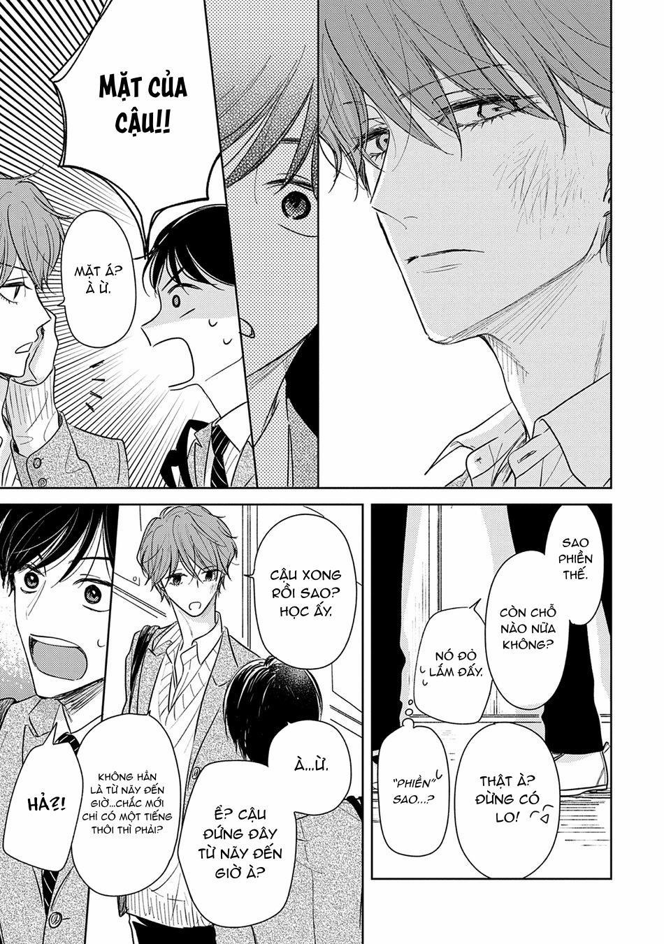 Pittosporum 2 trang 24