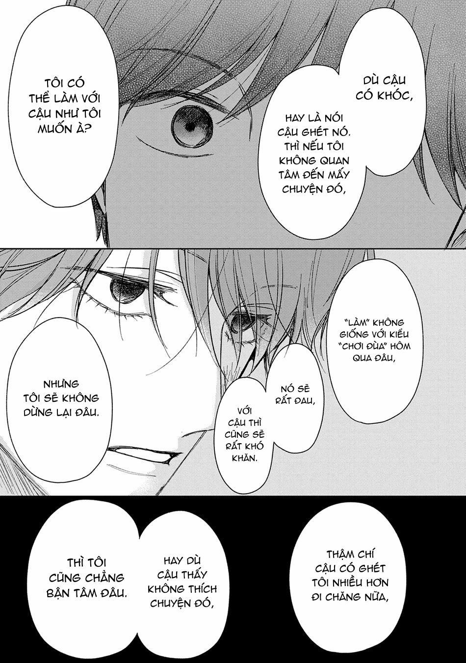 Pittosporum 2 trang 28