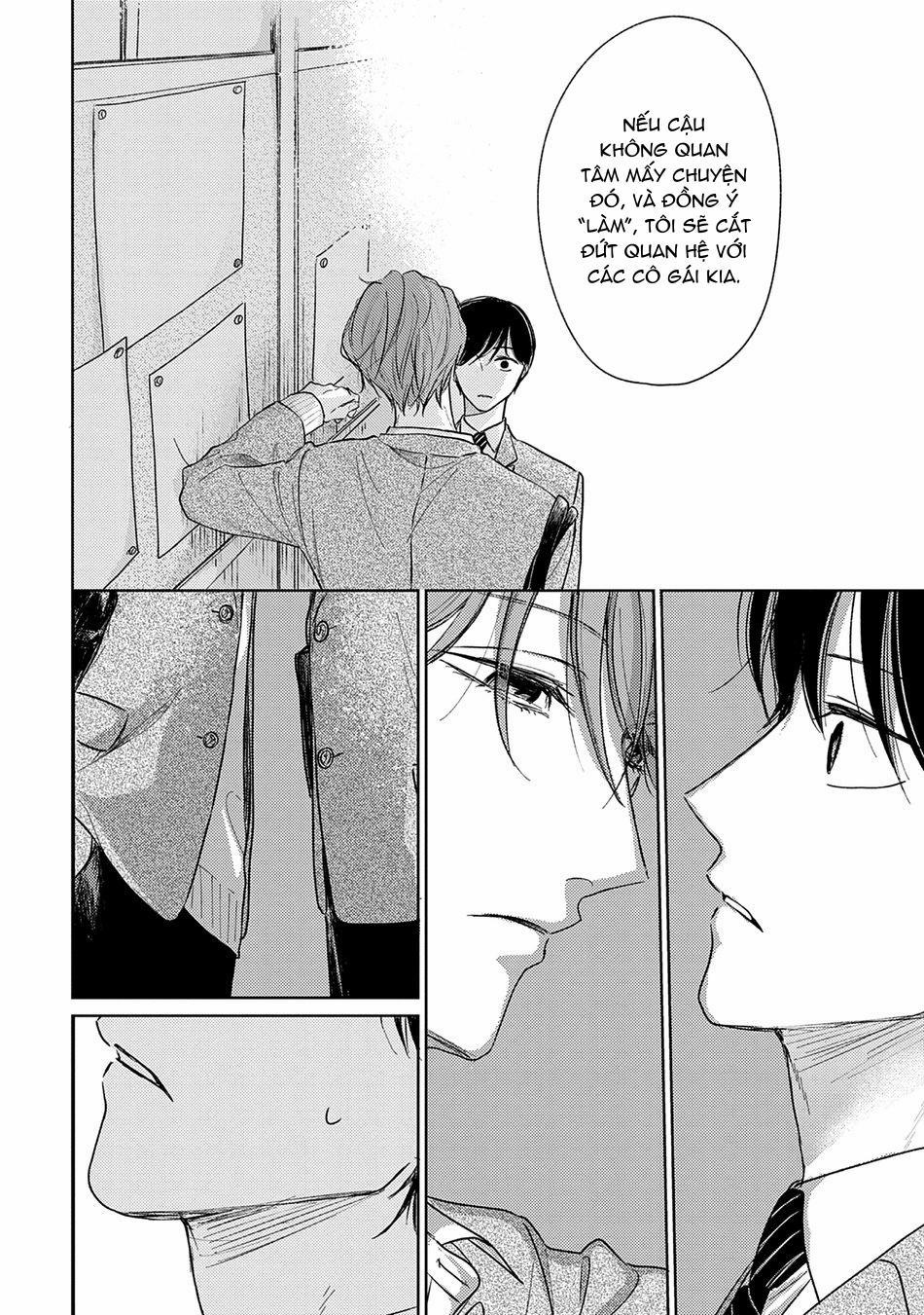 Pittosporum 2 trang 29