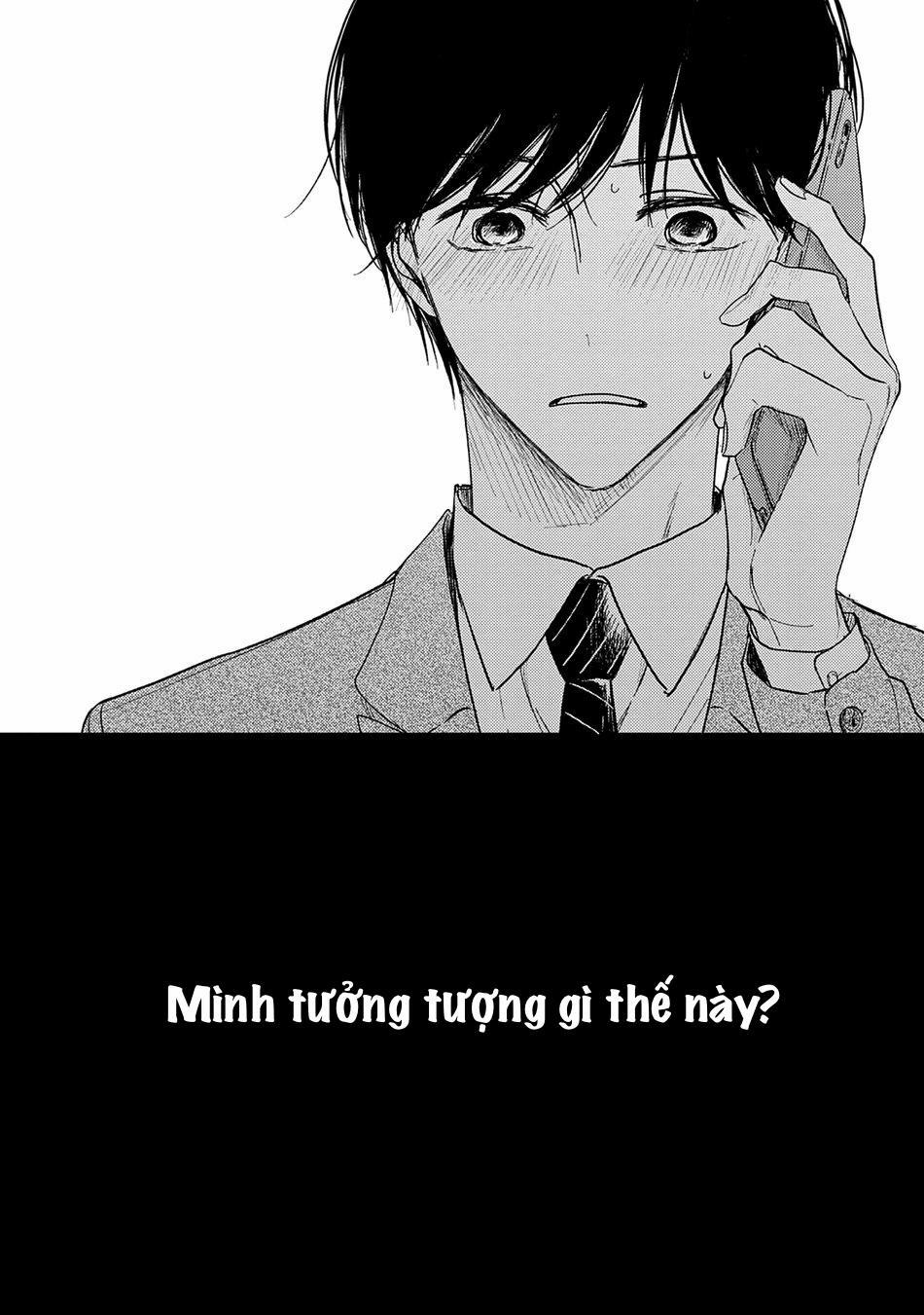 Pittosporum 2 trang 33