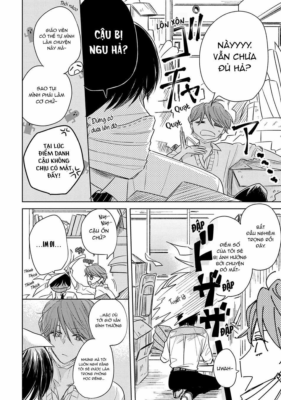 Pittosporum 2 trang 7