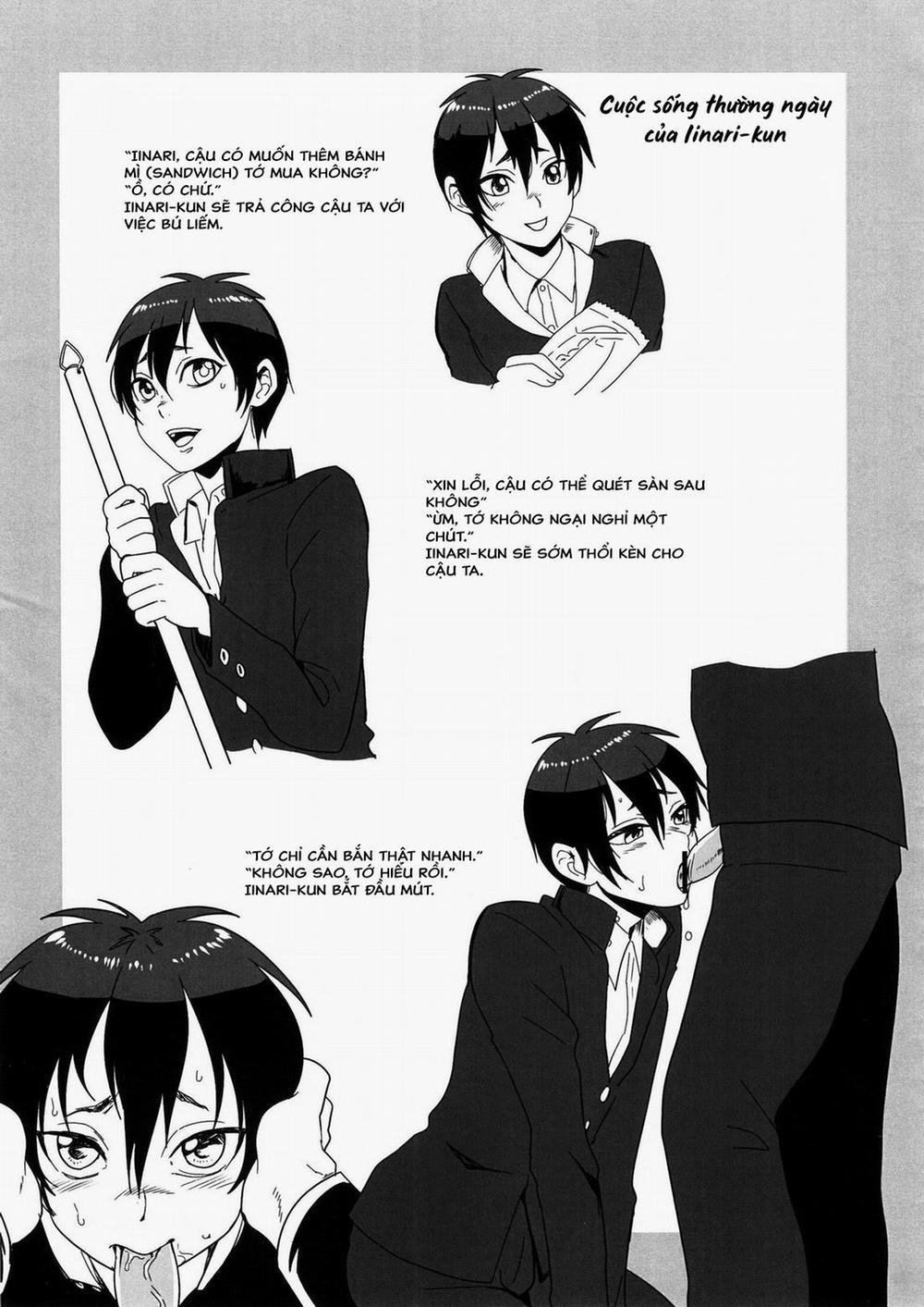 Pittosporum 24 trang 10