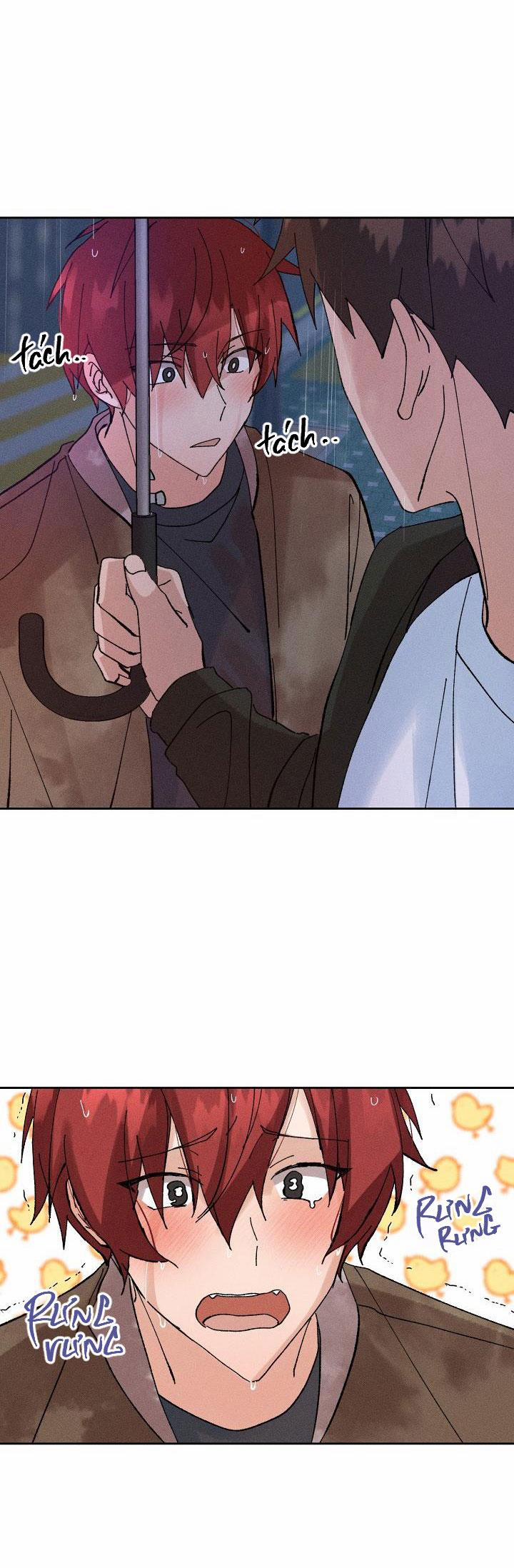 PLACEBO CRUSH 2 trang 28