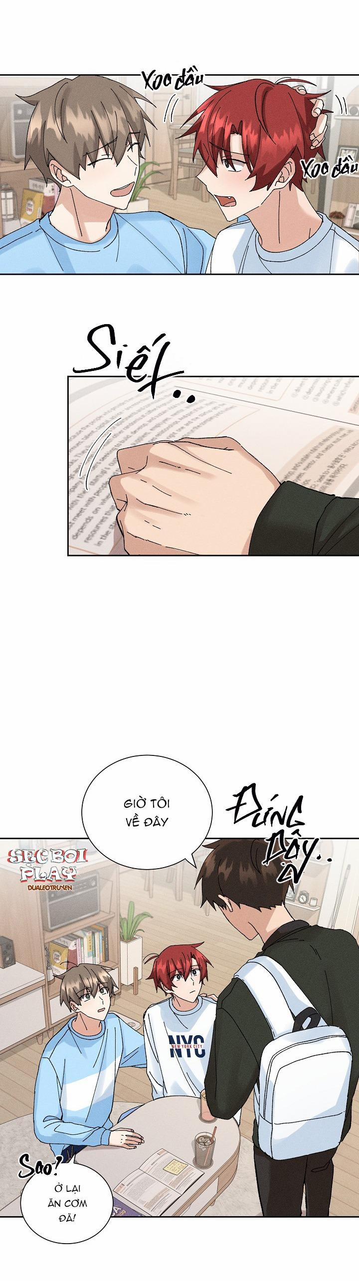 PLACEBO CRUSH 6 trang 3