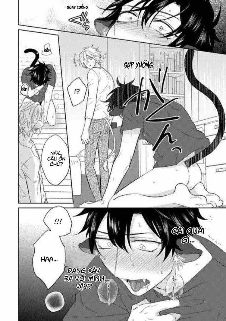 Playboy Beast – Cuộc Chơi Của Bán Yêu 1 trang 23