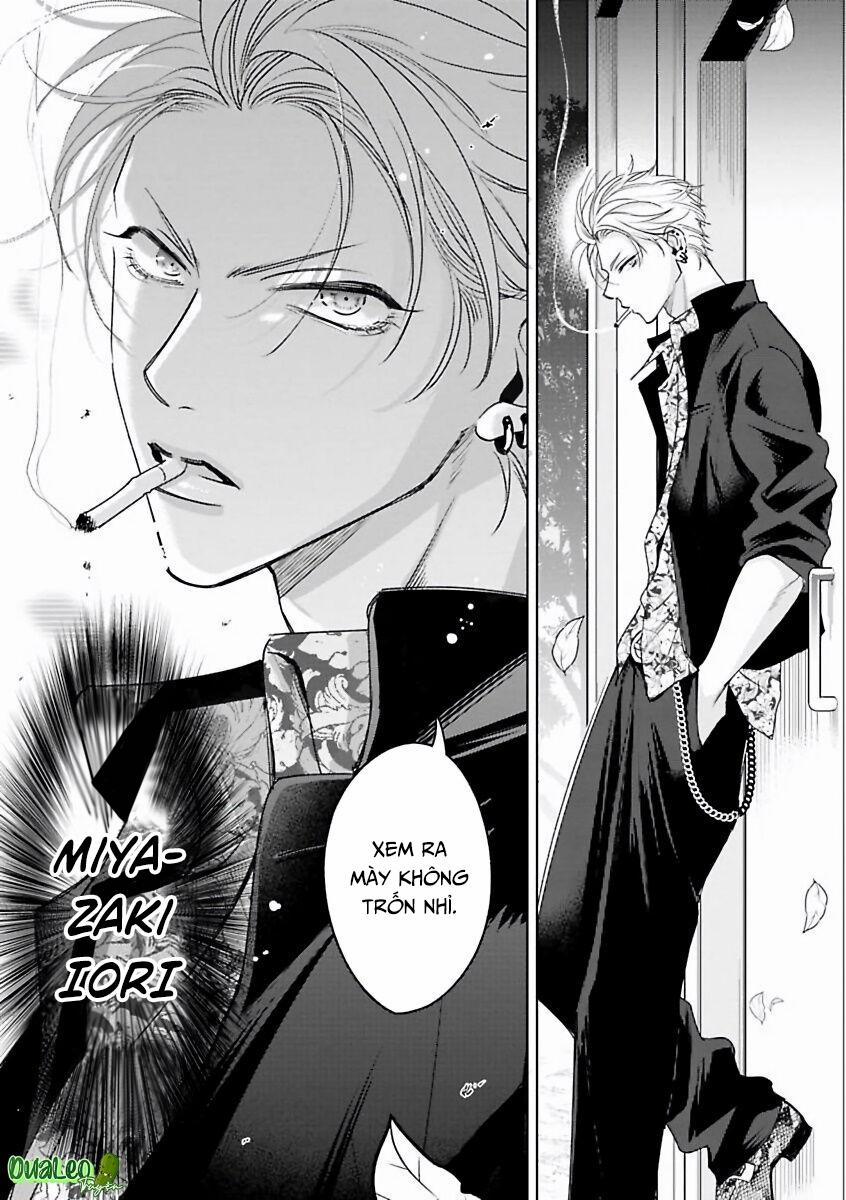 Playboy Huyền Thoại VS Hoa Cúc Thép 1 trang 6