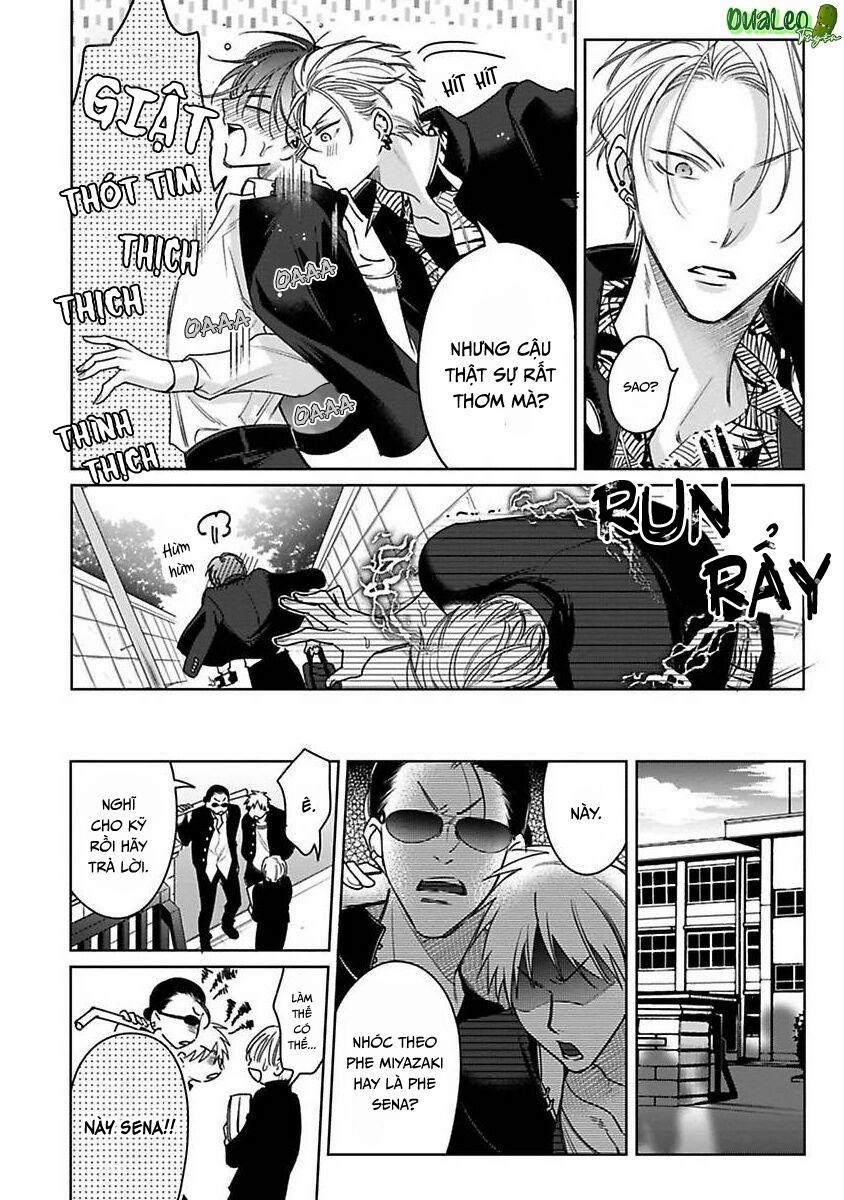 Playboy Huyền Thoại VS Hoa Cúc Thép 3 trang 10