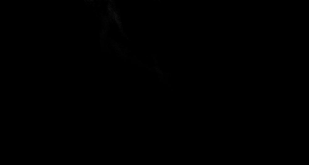 Plaything - Món Đồ Chơi Của Đại Công Tước Side story 2 trang 195