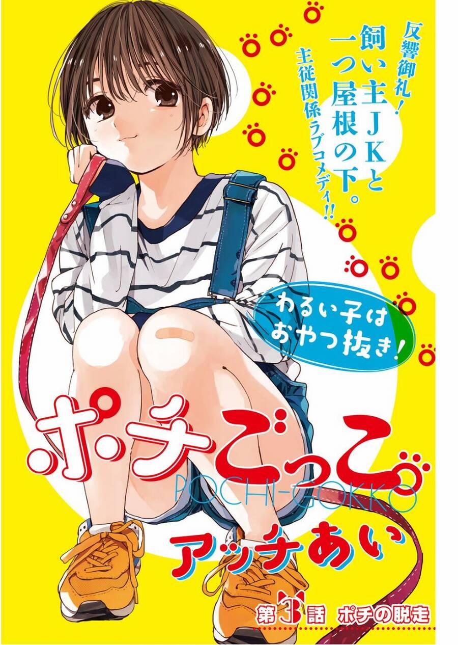 Pochi Gokko 3 trang 1