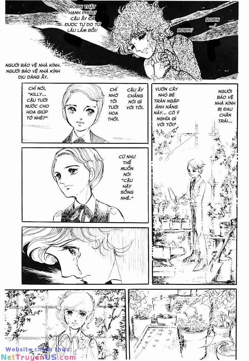 Poe No Ichizoku – Gia Tộc Poe 15 trang 13