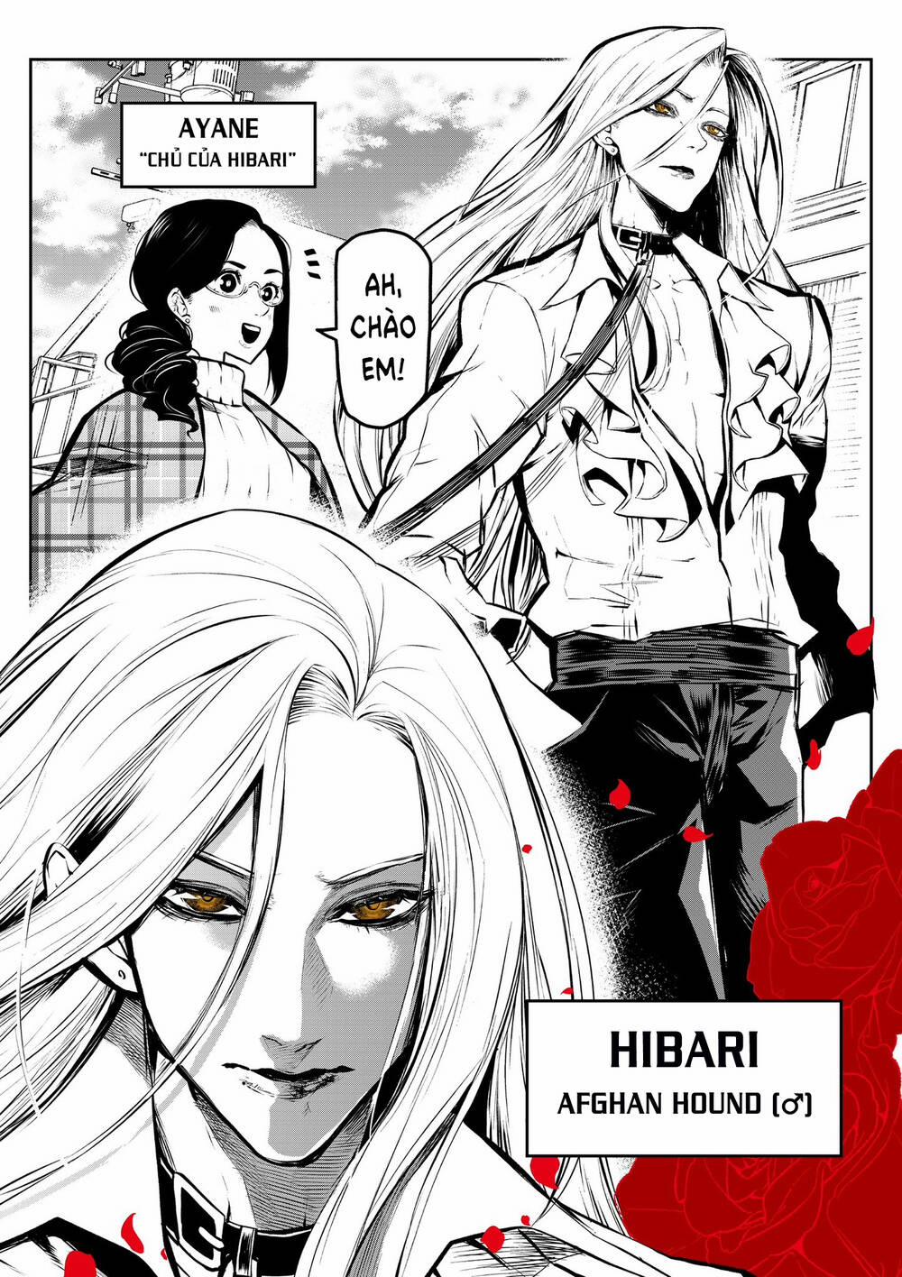 Ponta Nhà Tôi Bỗng Dưng Hóa Thành Người?! 2 trang 3