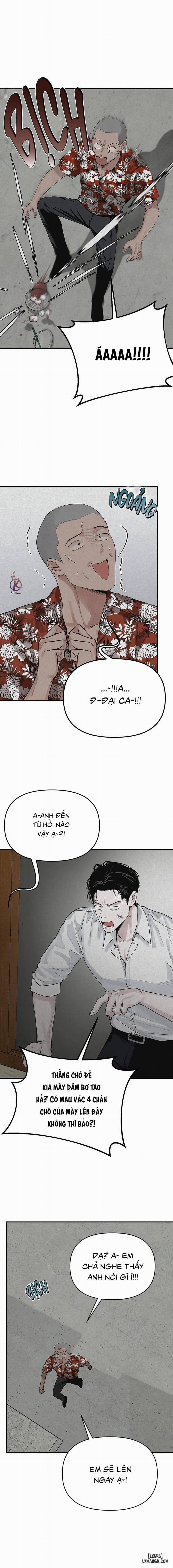 Projection - Hình chiếu 2 trang 14