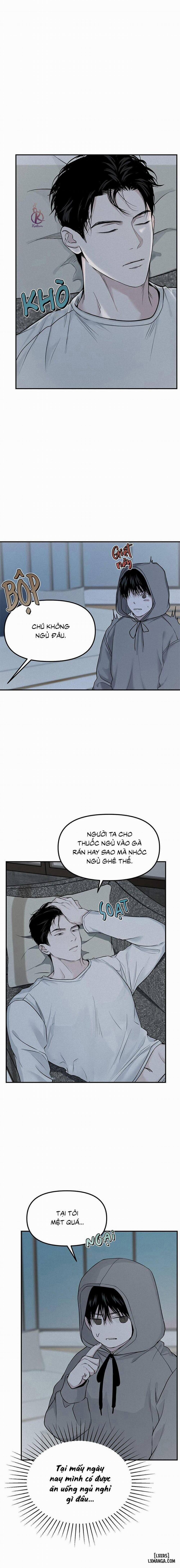 Projection - Hình chiếu 6 trang 12