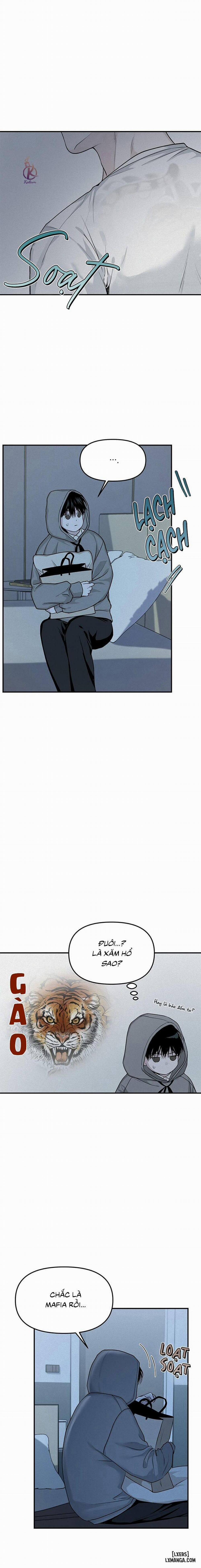 Projection - Hình chiếu 6 trang 8