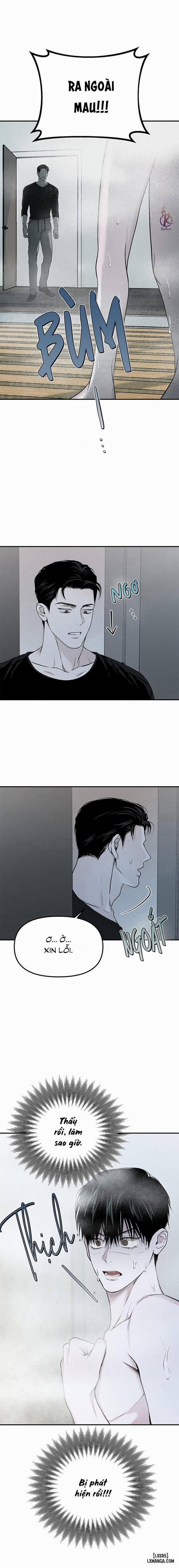 Projection - Hình chiếu 8 trang 10