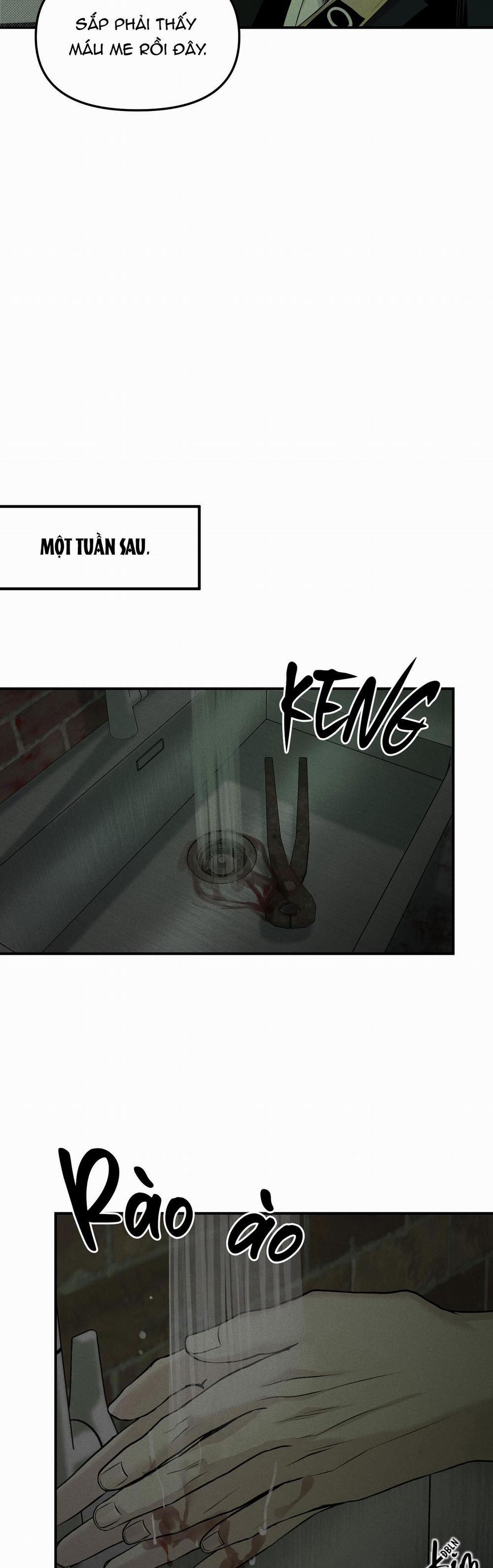 Projection 10 trang 19