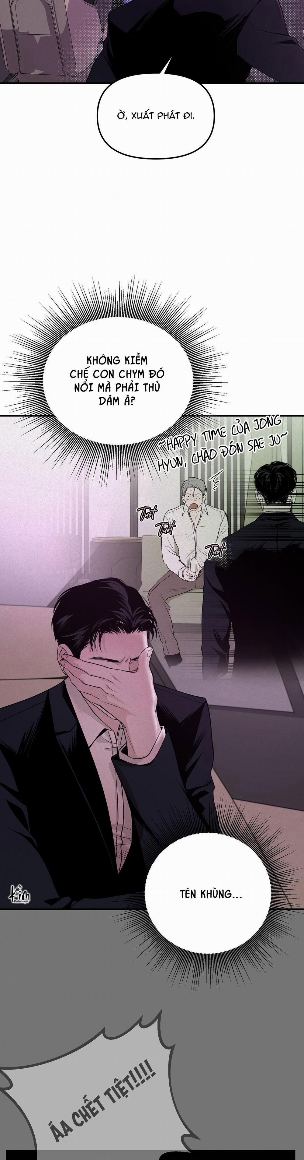 Projection 11 trang 11