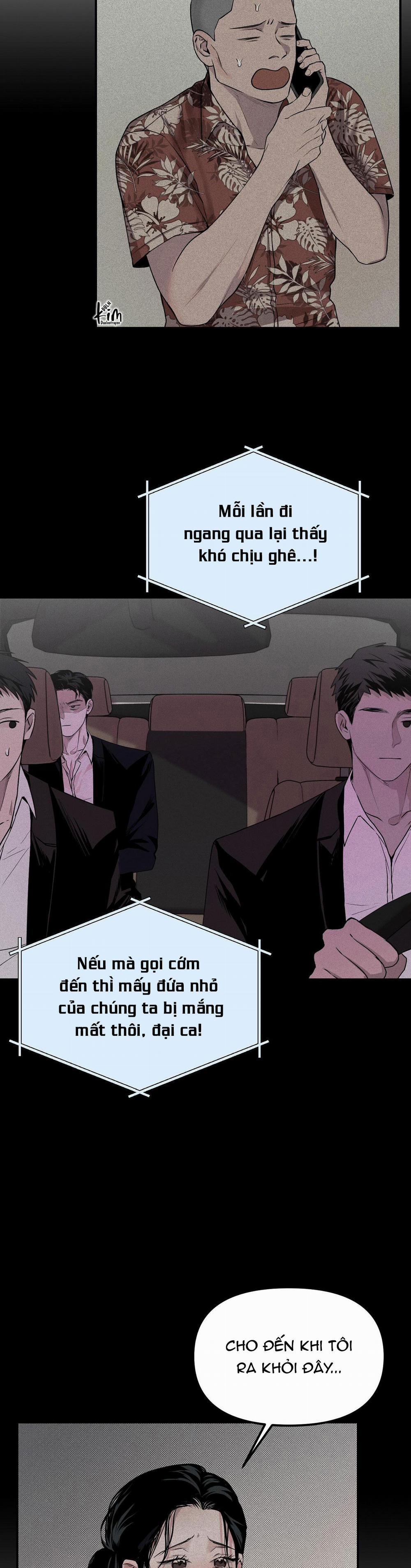 Projection 11 trang 13