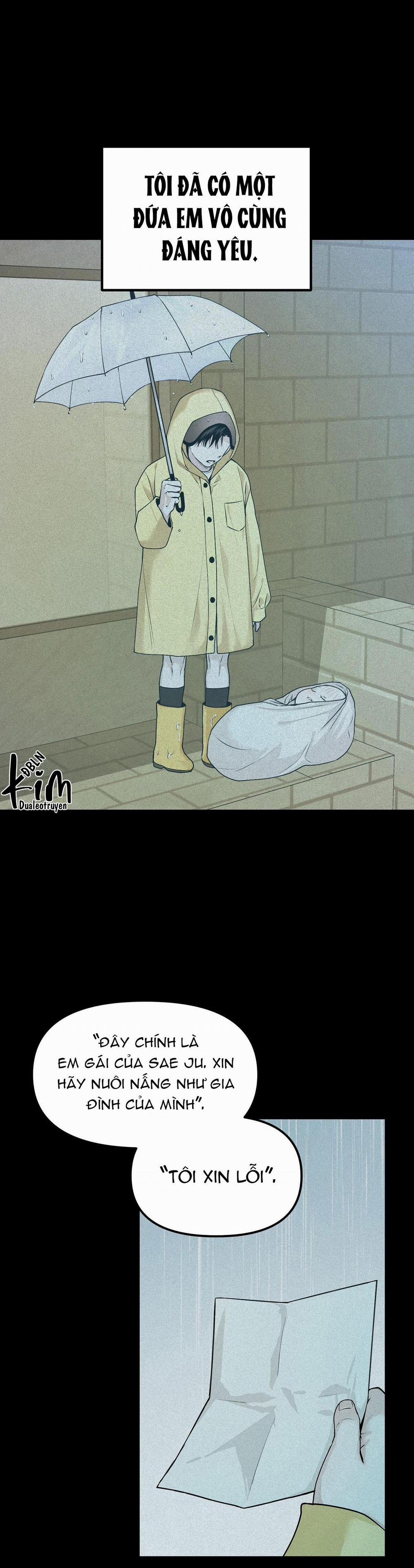 Projection 13 trang 3