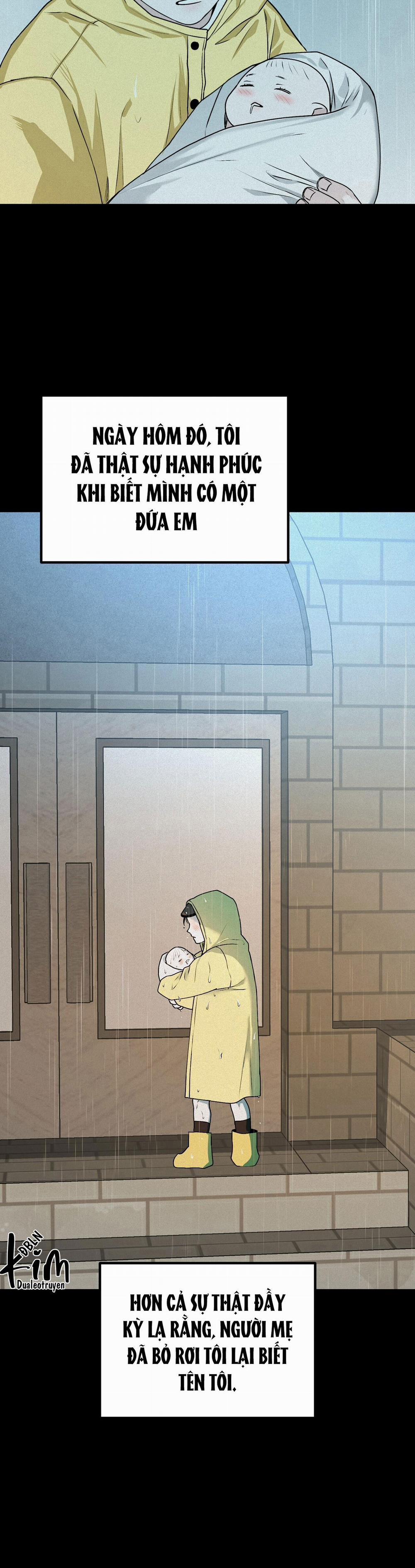 Projection 13 trang 5