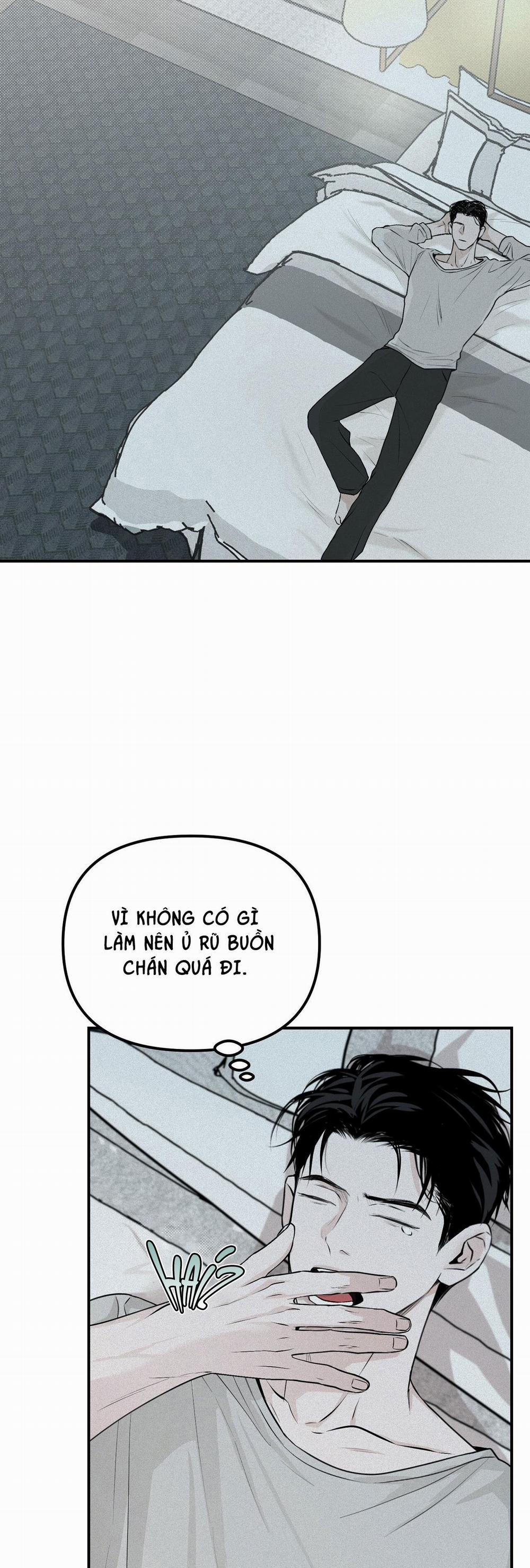 Projection 14 trang 19