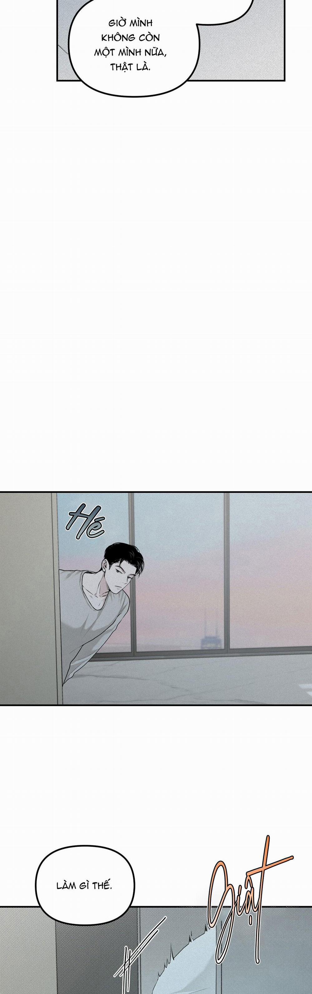 Projection 14 trang 21